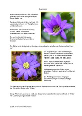 Anemone.pdf